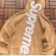 Sup Satin Appliqué Hooded Sweatshirt