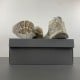 Balenciag* Runner Sneaker 'Beige' Balenciag* Runner Sneaker 'Beige'