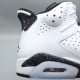 Air Jordan 6 Retro 'Reverse Oreo'