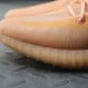 Yeezy Boost 350 V2 'Mono Clay' Yeezy Boost 350 V2 'Mono Clay'